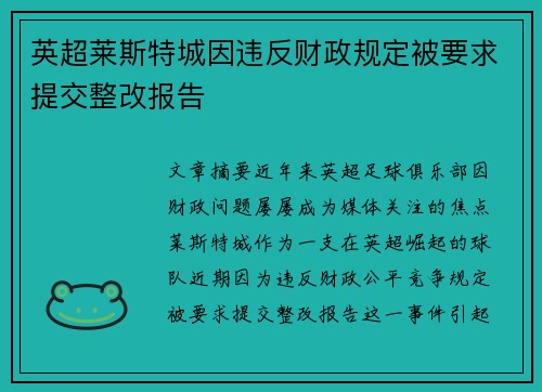 英超莱斯特城因违反财政规定被要求提交整改报告